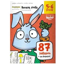 Настольная игра The Brainy Band Тетрадь Веселый счет, 5-6 лет (укр.) (УКР084)