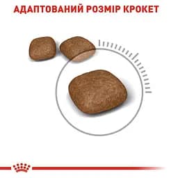 Сухий корм для дорослих кішок з метою профілактики сечокам'яної хвороби Royal Canin Urinary Care, 2 кг (1800020) - мініатюра 2
