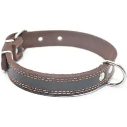 Нашийник для собак Zoo-hunt шкіряний подвійний ОД коричневий ОД 3,0/40-50 см