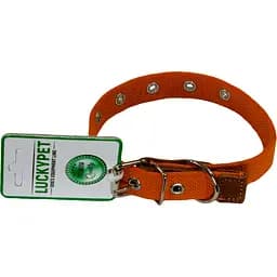 Ошейник брезентовый одинарный Lucky Pet, с кожей, 17-36х2 см, оранжевый