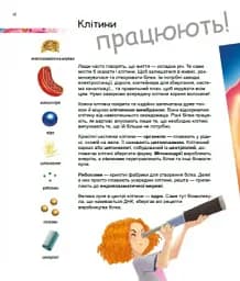 Дивовижний світ клітин - мініатюра 5