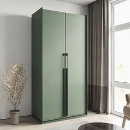 Шафа для одягу Flamecame у спальню з поличками на 2 двері FR-13 Зелений Димчастий