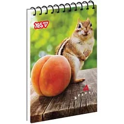 Зошит для записів Yes А7 Chipmunk and peach 80 аркушів (152561)