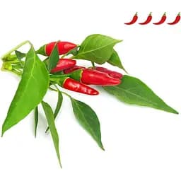 Змінний картридж Click & Grow Smart Garden Пірі-пірі чилі, 3 капсули (1401) - мініатюра 3