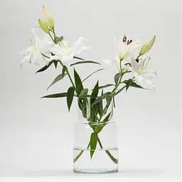 Ваза Trendglass Astrid 30 см (35947) - мініатюра 2