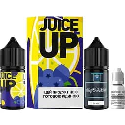 Набір компонентів для самозамішування сольової рідини для вейпу Fucked Lab Juice Up Salt 30 мл 0-25 мг Blueberry Lemon Чорниця Лимон (15493)