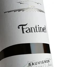 Вино Vinicolo Fantinel B.Tesis Sauvignon біле сухе 0.75 л (8000009737204) - мініатюра 4