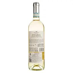 Вино Monte Zovo Pinot Grigio Veneto, біле, сухе, 12%, 0,75 л - мініатюра 2
