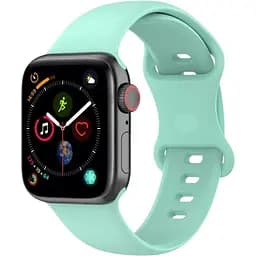 Ремешок DK CDK для Apple Watch 40mm (Series 4 / 5 / 6 / SE1 / SE2) M / L Silicone Band Double Loop (014416) (mint)