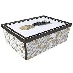 Коробка Qutu Trend Box Pineapple Life 25 л 52.5х37х17.5 см (TREND BOX с/к PINEAPPLE LIFE 25л.)