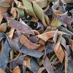 100 г вишня кора сушеная - свежий урожай