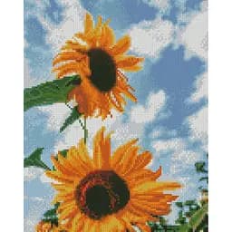 Алмазна мозаїка Соняшники в небі Strateg HX493 30х40 см