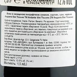 Вино Andante Vini Tiscone Cabernet Sauvignon Trevenezie, червоне, сухе, 1,5 л - мініатюра 3