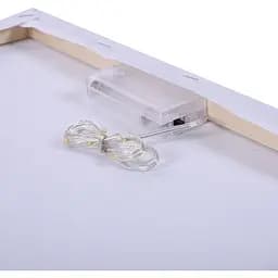 Картина за номерами Santi Коти на даху LED підсвітка 40 x 50 см  (956646) - мініатюра 7