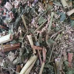 100 г горец почечуйный трава сушеная - свежий урожай