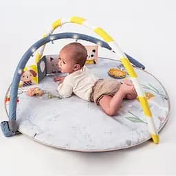Килимок Taf Toys Сонячні ноти музичний з дугами розвиваючий (13495) - мініатюра 7