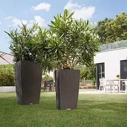 Вазон Lechuza Cubico Cottage 40 світло-сірий (15267) - мініатюра 11
