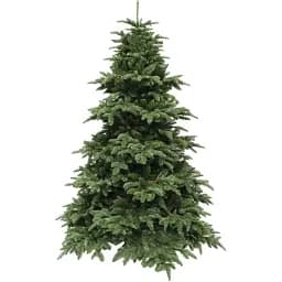 Ялинка штучна Triumph Tree Abies Nordmann de Luxe 2.30 м зелена  - мініатюра 5