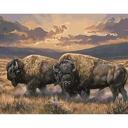 Набір для розпису по номерах Пара бізонів, 40x50 см, з лаком і рівнем, TM Strateg, VA-3348