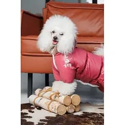 Комбінезон Pet Fashion Cherry S для дівчаток для собак - мініатюра 6