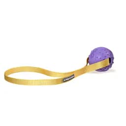 Игрушка для собак Misoko&Co Мяч с ремнем purple 30x5 cm