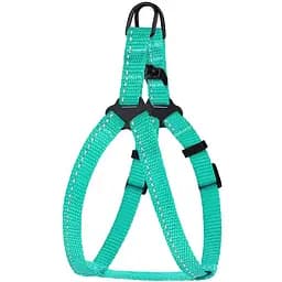 Шлея для собак Barksi Active світловідбивна (обхват грудей 24-30 см ширина 1 см) ментолова