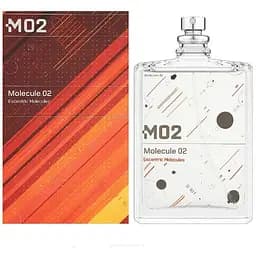 Туалетная вода оригинал Escentric Molecules Molecule 02 100 мл