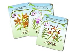 Настільна гра Woodcat ОВВА. Орхідеї! (Oh my. Orchids!) (укр.) (ВР_ОО) - мініатюра 2