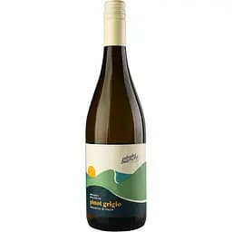 Вино Strade Bianche Pinot Grigio Terre Siciliane белое сухое 0.75 л