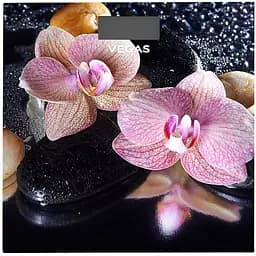 Ваги підлогові Vegas VFS-3148FS (VFS-3148FS)