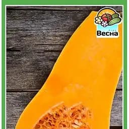 Насіння Весна Гарбуз Медовий десерт Новий пакет 2 г (22441)