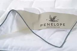 Ковдра Penelope - Celia Fine 195x215 євро - мініатюра 6