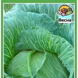 Насіння Весна Капуста пізня Ольга 0.5 г (20667)