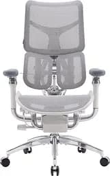 Игровое кресло Sihoo DORO S300 Mesh Light Grey (S300-M202)