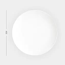 Тарілка МВМ My Home Промінь 25.4 см біла (KP-109 L WHITE) - мініатюра 5