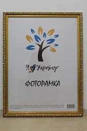 Фоторамка 30х42, золота із золотим обрамленням, 2115В-47, СКЛО + ДВП                                                                                                                                                                                                                                                                                                                                                                                                               