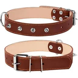 Нашийник для собак Collar подвійний з шипами
