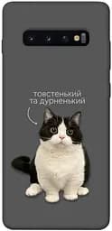 Чохол Demsky Сhubby для Samsung Galaxy S10+