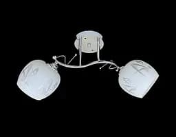 Люстра на два плафона 9509F/2 хром