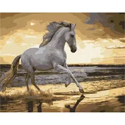 Картина по номерам Brushme Бег рысью на побережье 40x50 см