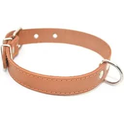 Ошейник для собак Zoo-hunt кожаный О рыжий 1,2/20-25 см