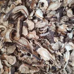 100 г синеголовник плосколистный корень сушеный - свежий урожай