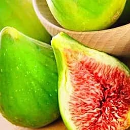 Саджанець Agro-Market Інжир Далматський (Турецький білий) (25542) 1 шт. в упаковці