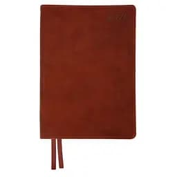 Щоденник-діловий записник А5 Leo Planner датований 2026 Case коричневий 368 сторінок (252659)