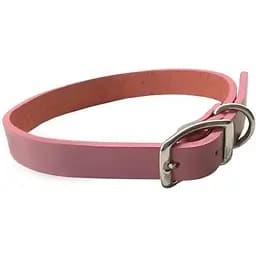 Ошейник для собак Coastal Circle-T Fashion кожаный