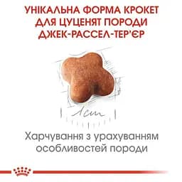 Сухий корм для цуценят породи Джек Рассел Тер'єр Royal Canin Jack Russell Puppy, 1,5 кг (21010151) - мініатюра 3