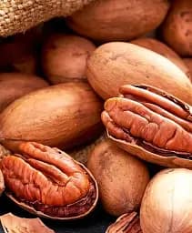 Саджанець Agro-Market Горіх Пекан Kanza саджанець 3 роки (ранній термін дозрівання) 1 шт. в упаковці (179040)