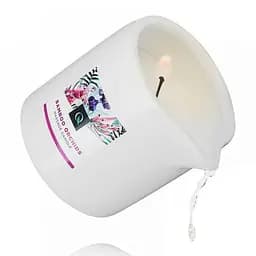 Масажна свічка Exotiq Massage Candle Bamboo 200g - мініатюра 3
