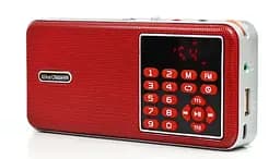 Потужний цифровий портативний FM радіоприймач USB/MP3 N2020