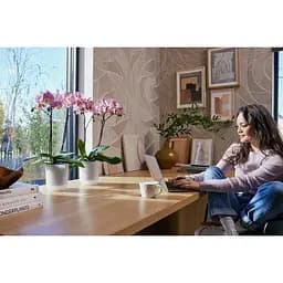 Горшик Elho Vibes fold orchid high 13 см прозорий (527662) - мініатюра 7